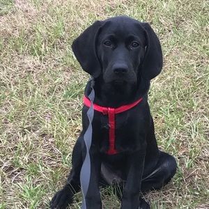 Meet your Posher, Phyllis